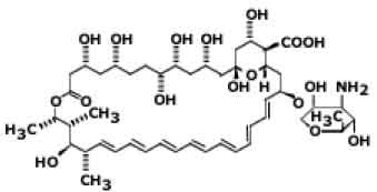 Amphotericin B Lipid Complex Injection