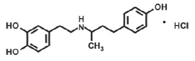 Dobutamine Injection